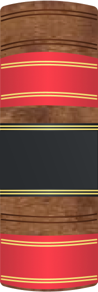 Case Icon